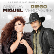 Amanda Miguel and Diego Vernaguer en Noche Romantica! @ <a href="http://sanjosetheaters.org/theaters/city-national-civic/">City National Civic</a> | 135 West San Carlos Street, San Jose, CA 95113 | United States