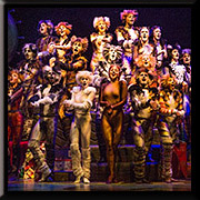 Cats - Broadway San Jose @ <a href="https://sanjosetheaters.org/theaters/center-for-performing-arts/">Center for the Performing Arts</a> | <h5>255 Almaden Blvd., San Jose, CA 95113</h5>
